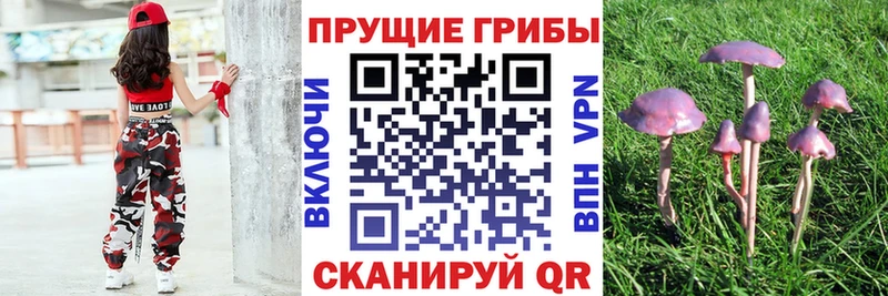 Галлюциногенные грибы MAGIC MUSHROOMS  Билибино 